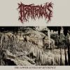 Download track Myriad Of Grotesquerie