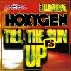 Download track Till The Sun Is Up (Extended Mix)