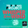 Download track Whisper In The Wind (Cecinho Remix)