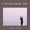 Download track I Never Knew You