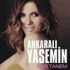 Download track Vur Oynasın