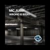 Download track Wrong Is Right (Love Da Afro Sound Mix)