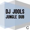 Download track Jungle Dub