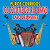 Download track Paso Del Norte