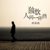 Download track 独饮人间一杯酒 (DJheap九天版, 伴奏)