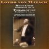 Download track Bruckner 8: I. Allegro Moderato