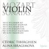 Download track Sonata For Violin & Piano No. 12 In G, K 27 - 2. Allegro