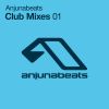 Download track Anjunabeats Club Mixes 01 (Bonus DJ Continuous Mix)