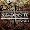 Download track Navegante
