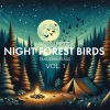 Download track Spirits Of The Night Forest