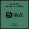 Download track Sounding Life (Original Mix)