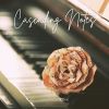 Download track Soothing Piano Melodies