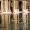 Download track 10 - Violin Concerto No. 1 In C Major, Hob. VIIa 1 II. Adagio