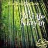 Download track Bamboo Yellow