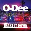 Download track Shake It Down (Radio Mix)