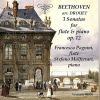 Download track Violin Sonata No. 1 In D Major, Op. 12 No. 1 (Arr. L. Drouet For Flute & Piano): II. Theme And Variations: Andante Con Moto