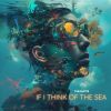 Download track If I Think Of The Sea (Instrumental)