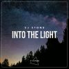 Download track Into The Light