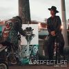 Download track A Perfect Life