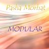 Download track Modular (Original Mix)