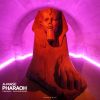 Download track Pharaoh (Goa Dub Mix)