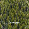 Download track Science Forest N° 4