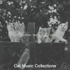 Download track Joyful Music For Resting Cats