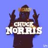 Download track Chuck Norris