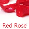 Download track Red Rose