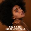 Download track You Keep My Fire Burning (Instrumental)