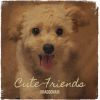 Download track Cute Friends