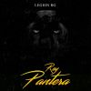 Download track Rey Pantera