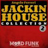 Download track I'm Gonna Hold On (Angelo Ferreri 'Funky Dub' Mix)