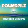 Download track Tropical Dreams