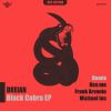 Download track Black Cobra (Frank Arvonio Remix)