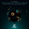 Download track Dreaming The Cosmic Dream (Manu Riga Remix)