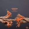 Download track Tension (Mlinar Remix)