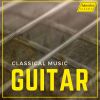 Download track 12 Danzas Españolas, Op. 37, H. 142: No. 5, Andaluza (Arr. For Guitar By Anonymous)