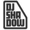 Download track Camel Bobsled Race (DJ Shadow Q - Bert Mix)