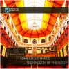 Download track The Kindgdom Of Thieves (Faskil Rmx)