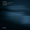 Download track Sinfonia No. 15 In B Minor, BWV 801