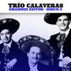 Download track Bailes De México