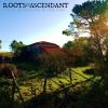 Download track The Roots Of The Tree