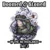 Download track Existence Is Pain (Doomed & Stoned Version)