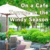 Download track In Windy Season