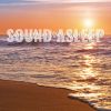 Download track Calming Ocean Water Ripple Sounds, Pt. 20