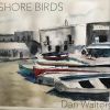 Download track Introduction To Shore Birds