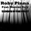 Download track Slender In'the Night (Sound Of Tomorrow Remix)