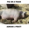 Download track Pig On A Train