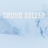 Download track Heavy Snowstorm And Howling Wind Sounds, Pt. 4